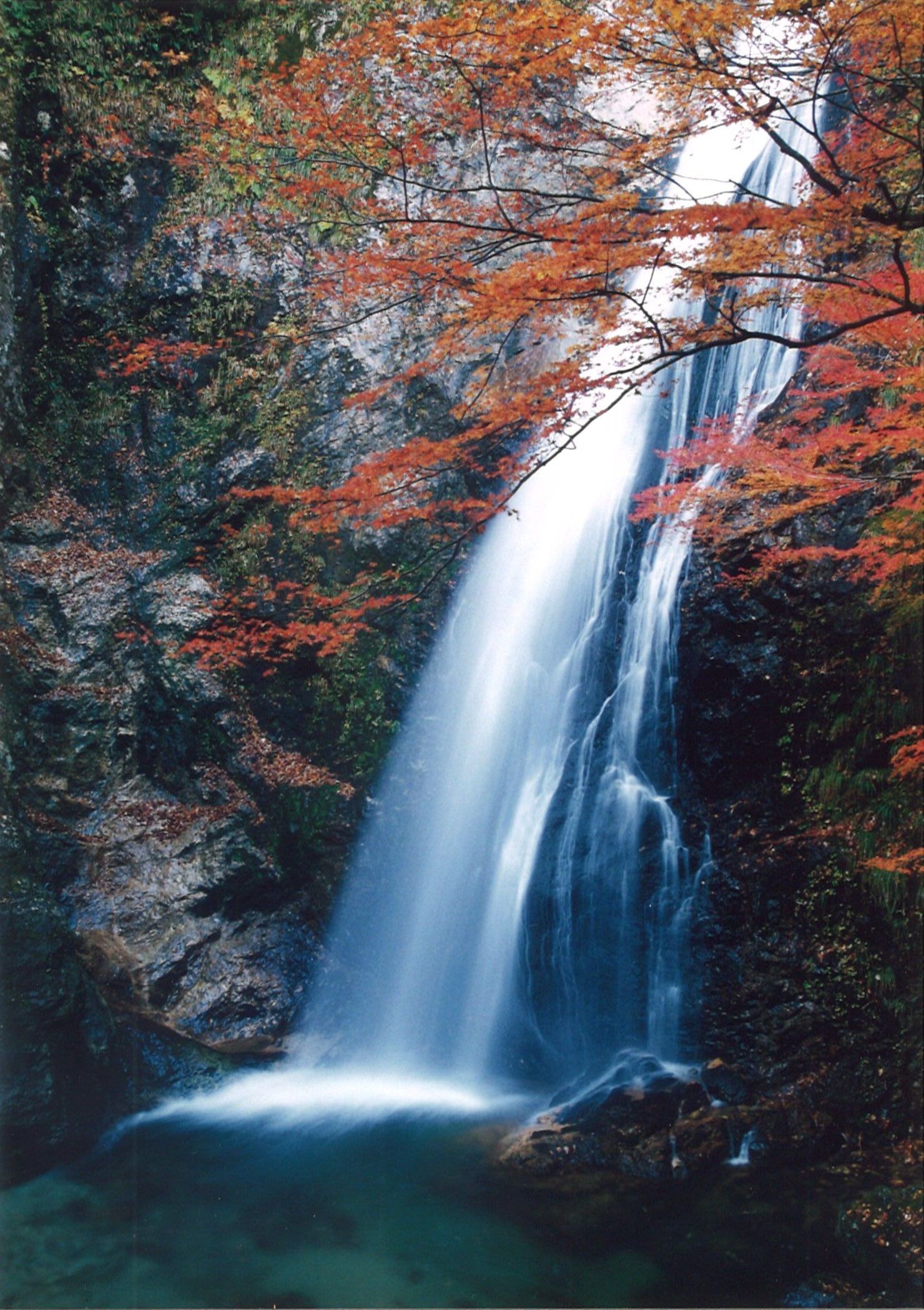 紅葉と水。